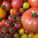 Imagen para el artículo titulado Científicos crean tomates con CRISPR para llenarlos de vitamina D